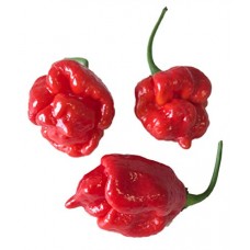 Butch T Chilli Seeds